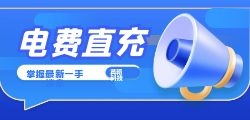 代缴电费是否支持多种支付方式？