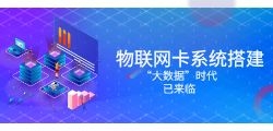 如何申请办理物联卡？