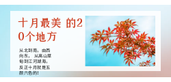 旅游卡拓客项目