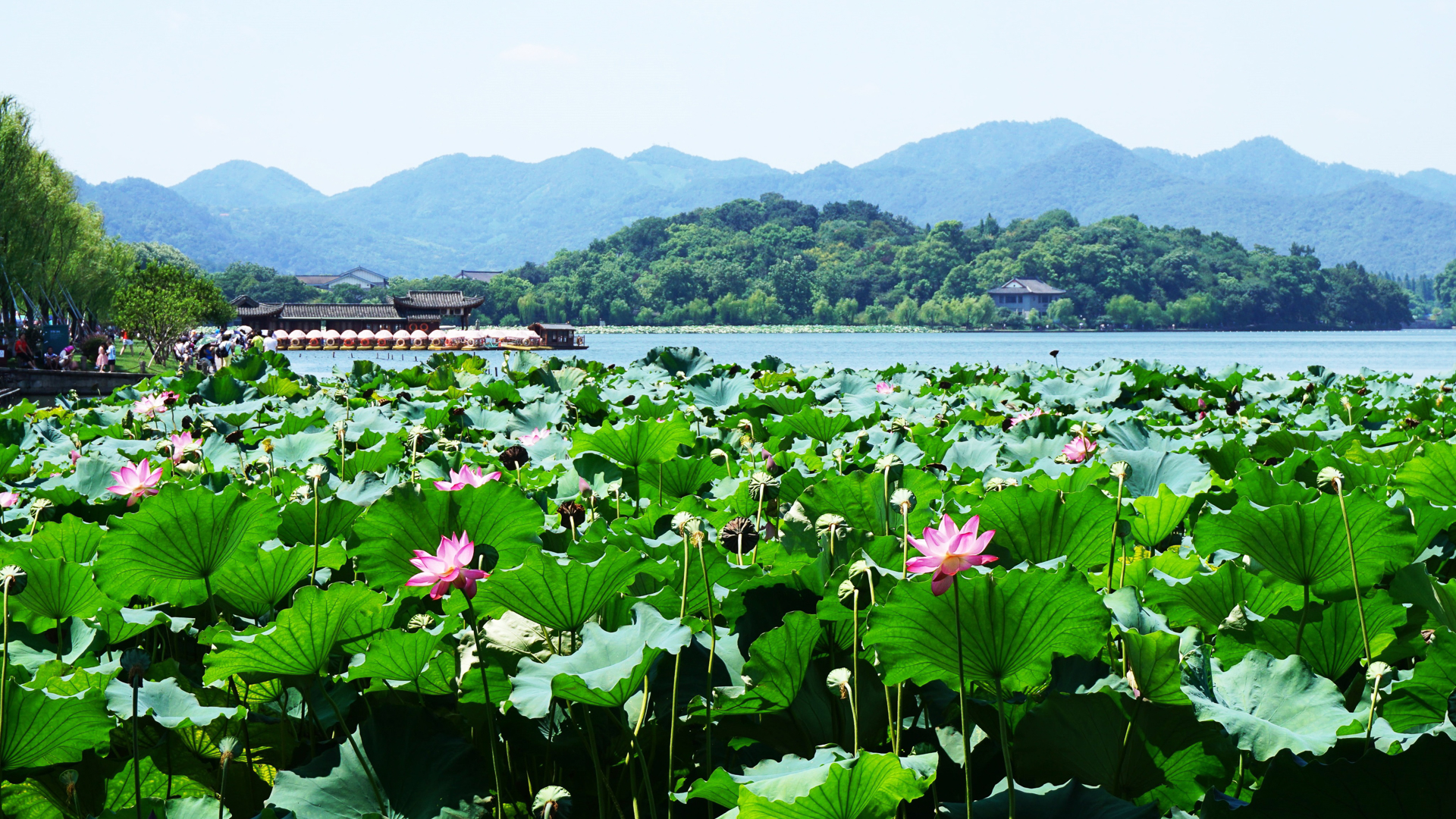 您知道旅游卡项目背后的巨大商机吗