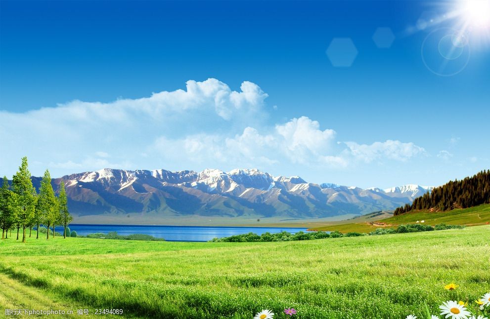 解锁创业新风口：旅游卡项目，你的财富通行证！