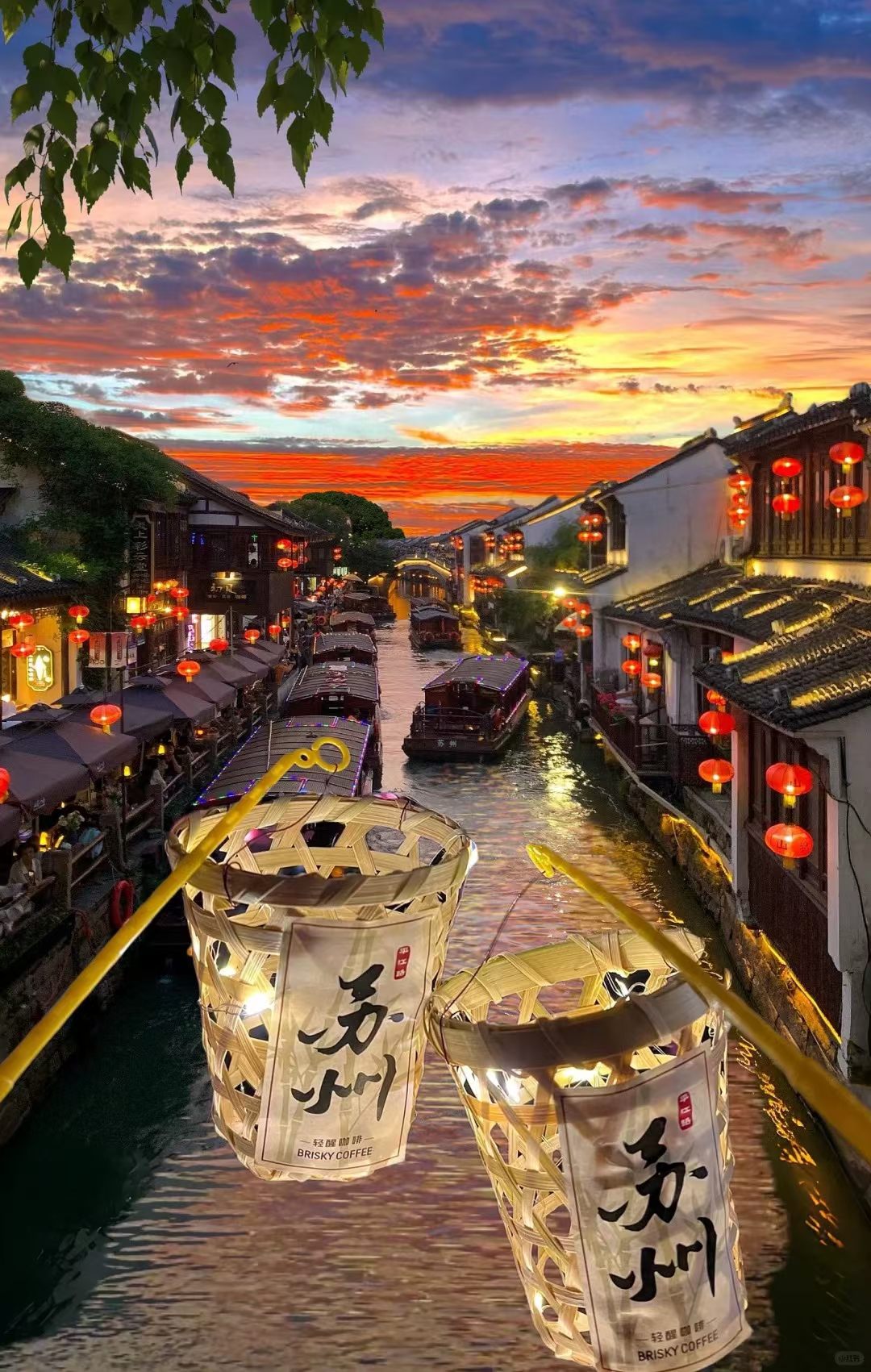 解锁乡村旅游新玩法！旅游手机APP+创新项目开发，引领创业新风尚