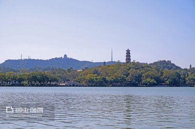 创业秘籍！多功能折扣卡系统，助你轻松引流，打造专属优惠帝国！