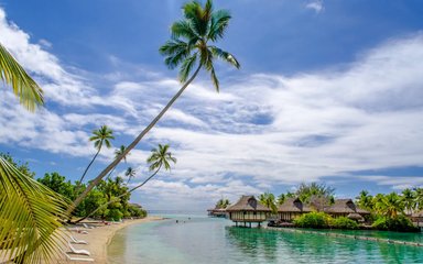 解锁创业新机遇：0元代理费，旅游卡项目助你轻松成老板！