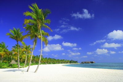 解锁创业新机遇：旅游手机App开发与旅游卡代理的黄金时代
