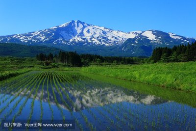 河南英邦科技助力创业者，打造专属独立系统与定制开发服务