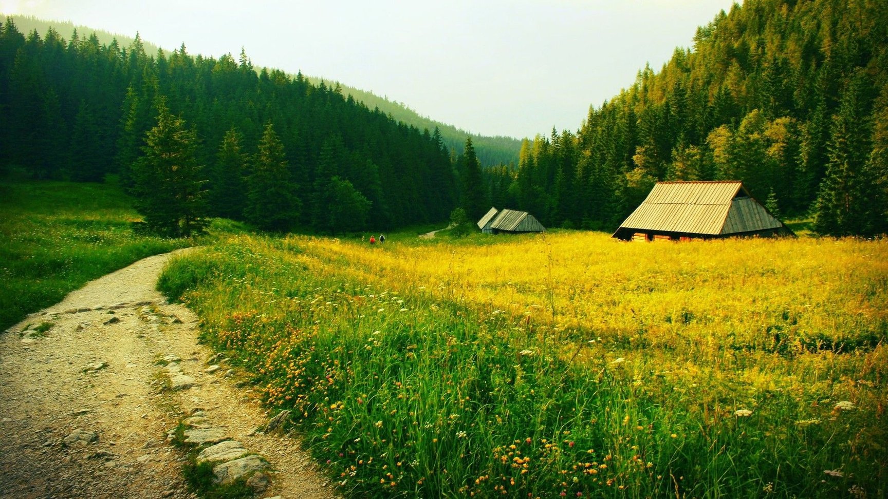 旅游卡系统软件搭建：创业新蓝海，打造专属旅行体验