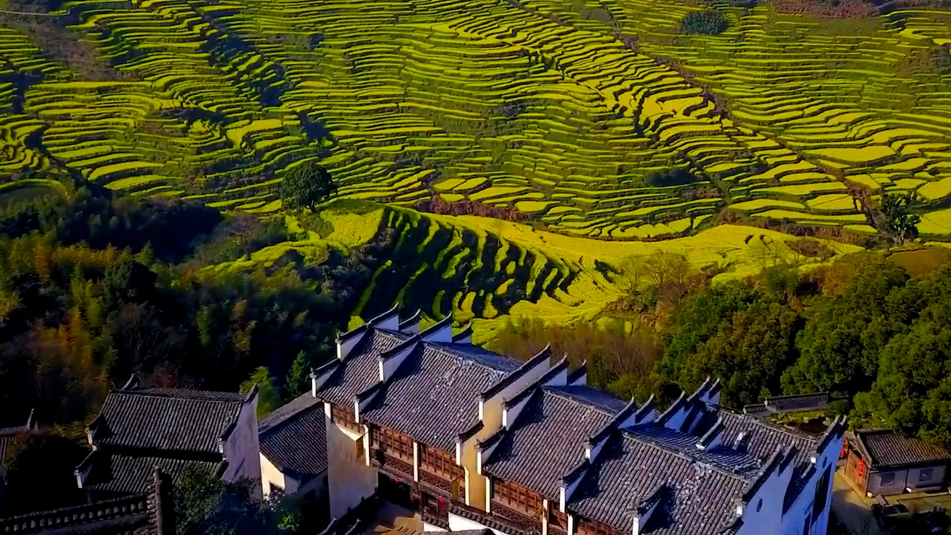 揭秘影音会员折扣渠道：如何轻松找到并享受超值优惠？
