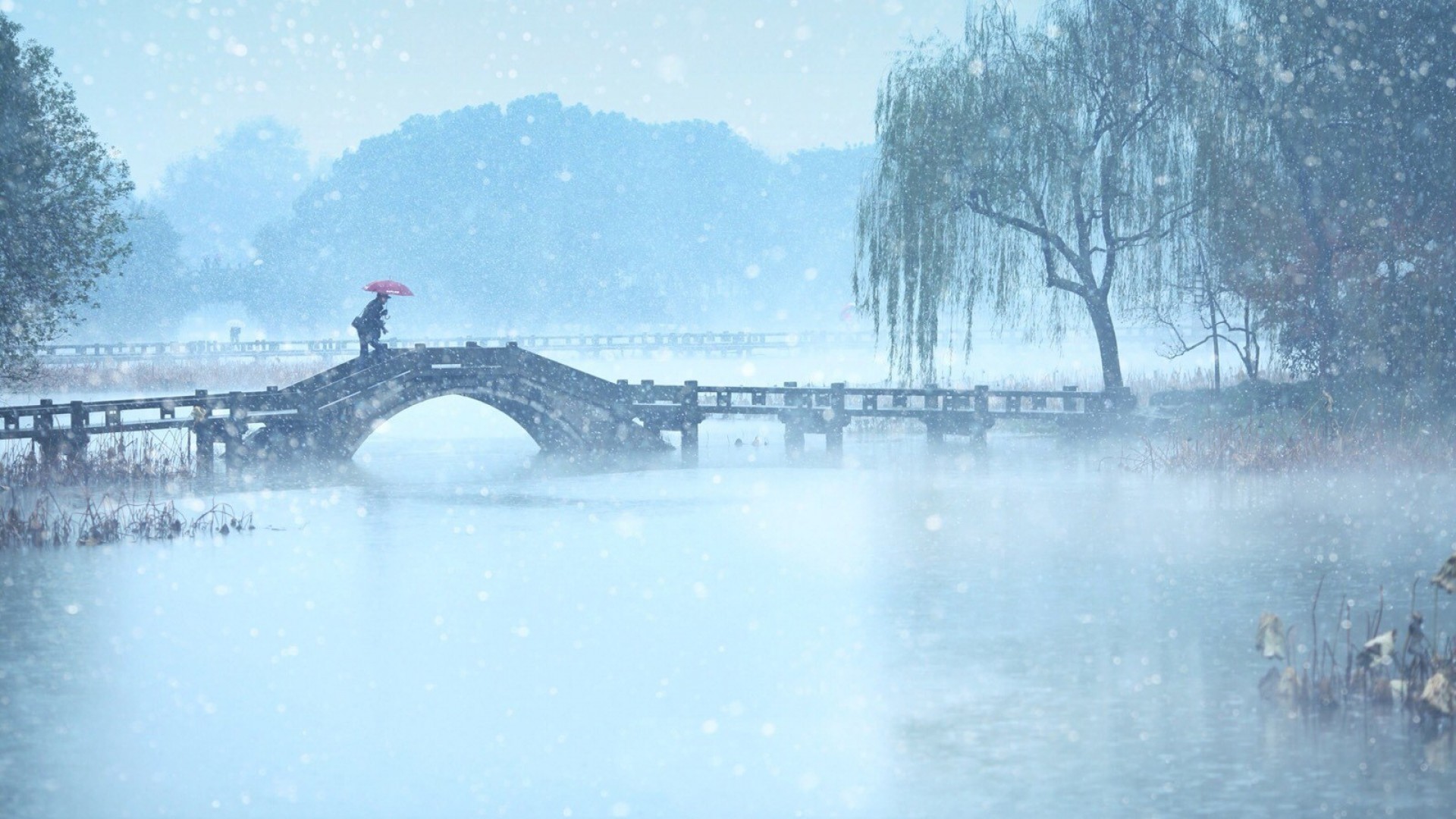 旅游卡系统搭建多少钱一张？加盟代理费多少合适？一文详解！