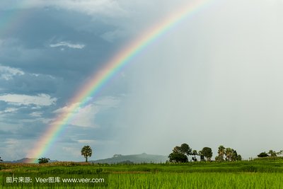 创业秘籍！30-60岁必看，搭建独立系统，打造专属商城王国！