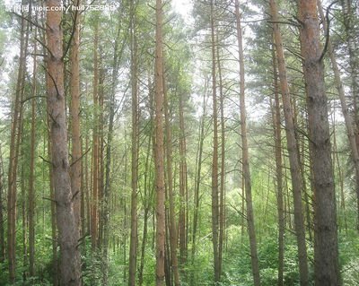 全国旅游卡系统怎么搭建,旅游卡如何加盟代理公司,旅游卡返利接口,代理旅游年票,招商汽车卡,旅游app怎么开发