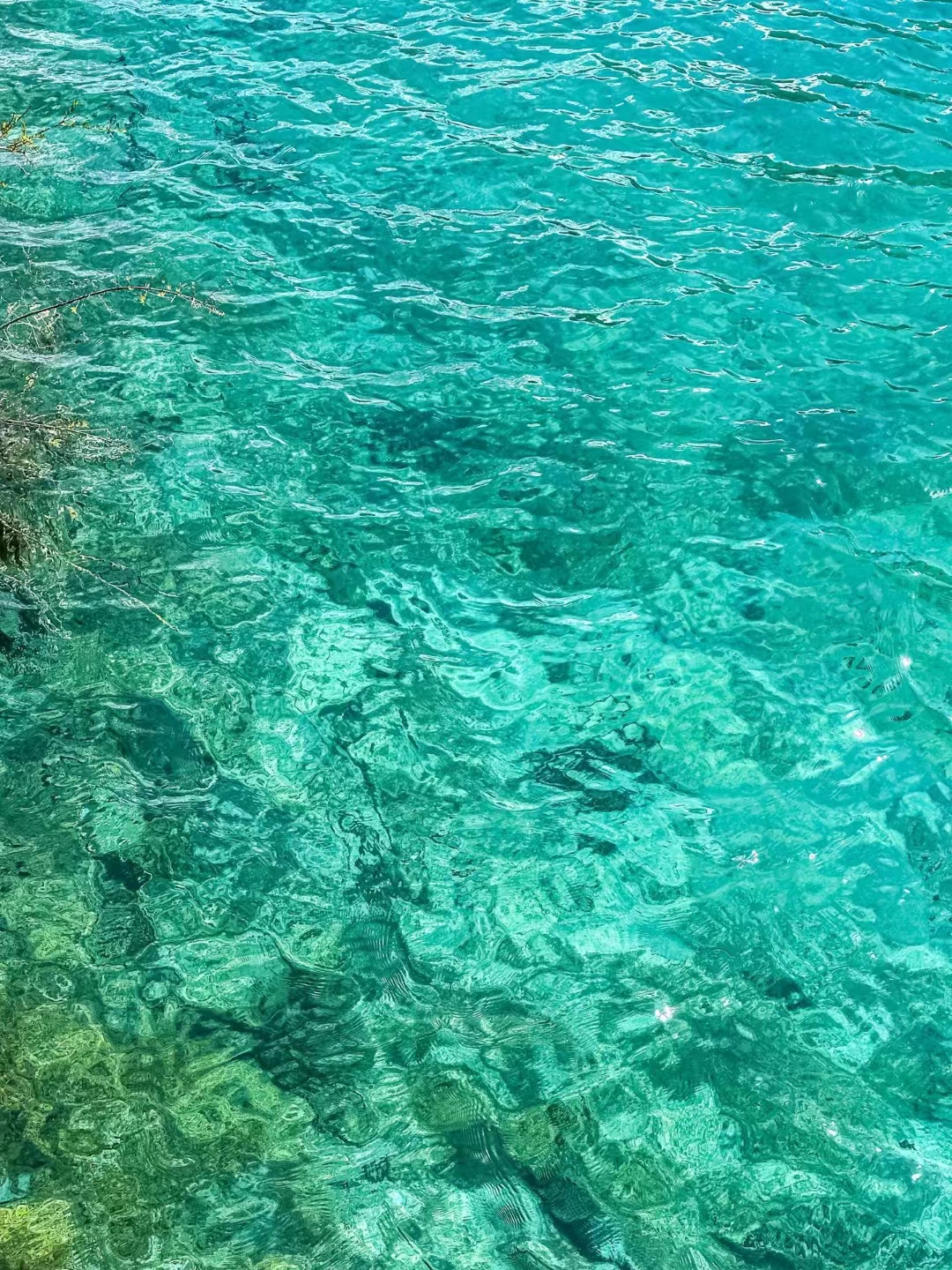 创业秘籍！河南英邦科技助你搭建专属萌豆APP，开启定制开发新篇章！