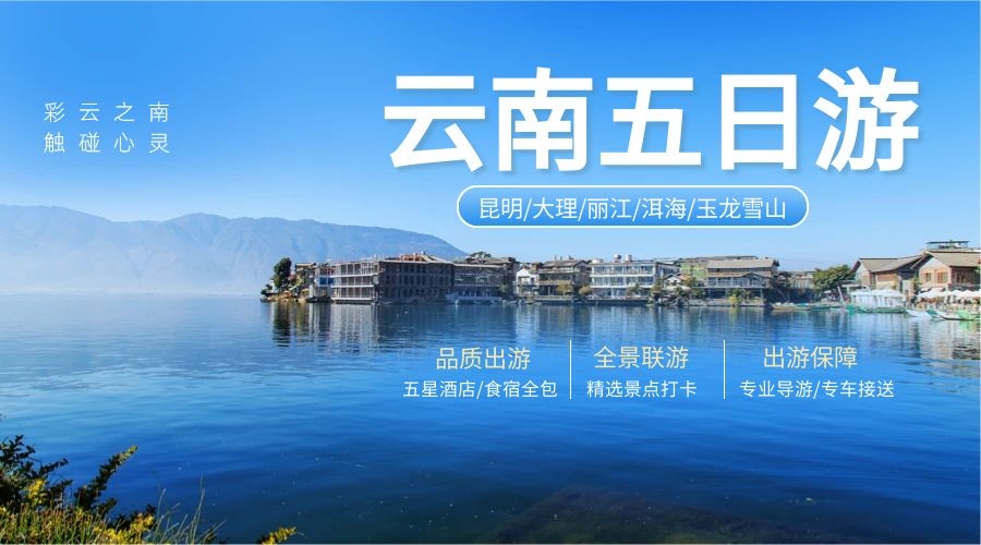 英邦软件：打造高效电影票系统