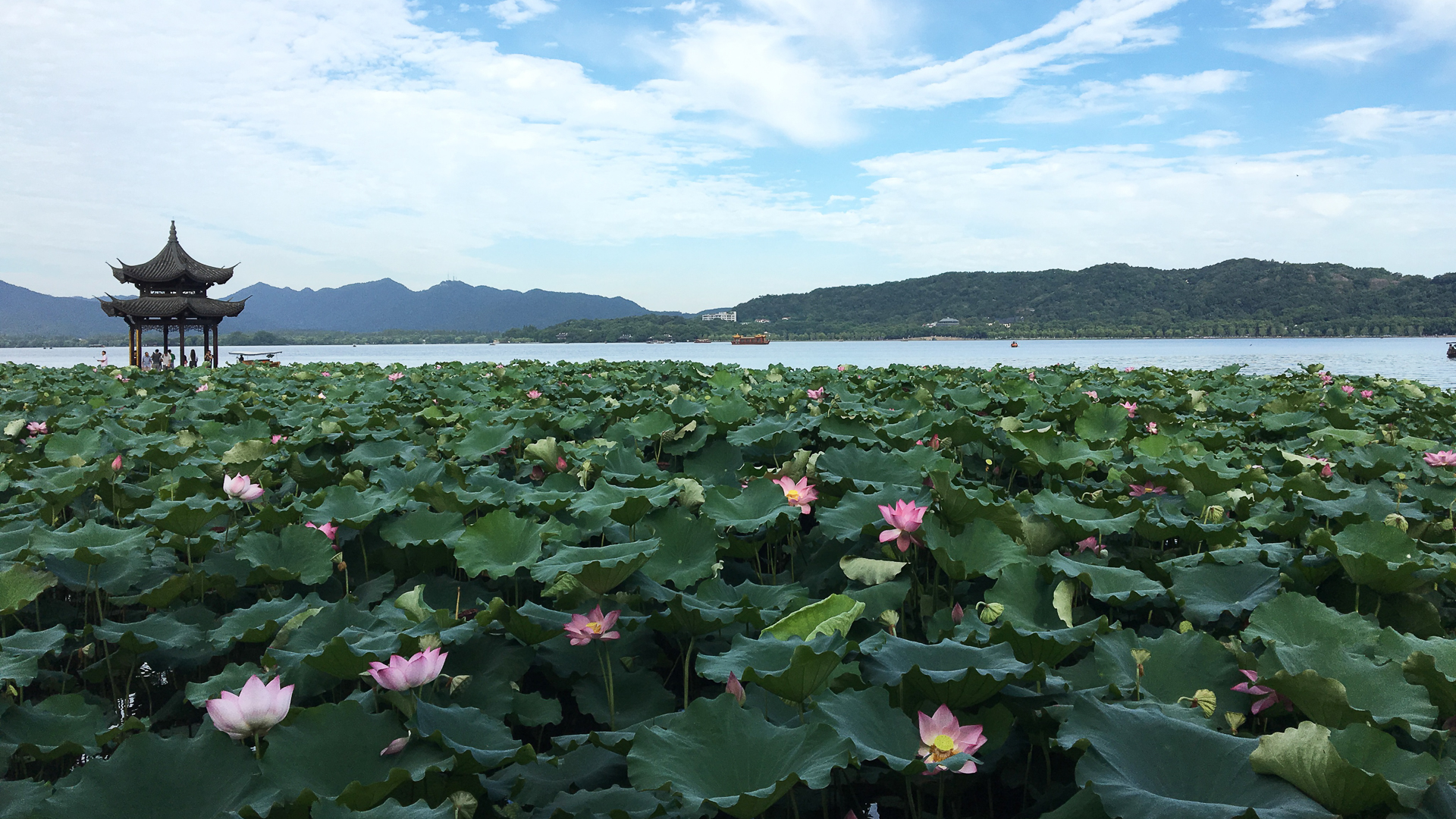 礼品卡代理新蓝海：多功能折扣卡，地推加油卡的财富密码！