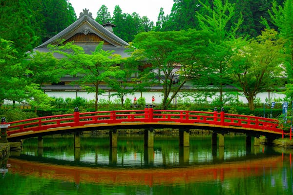 旅游卡项目：创业新蓝海，解锁财富密码