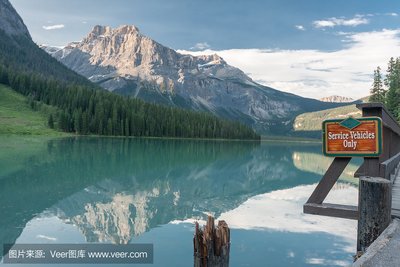 创业秘籍！0元代理，轻松成老板，萌豆Pro带你飞！