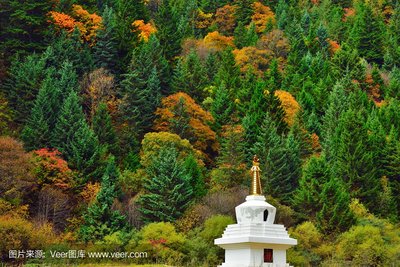 英邦科技旅游卡项目：为创业人群量身定制的智能引流解决方案