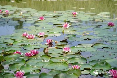 创业秘籍大公开！解锁独立系统搭建，定制开发就找英邦科技