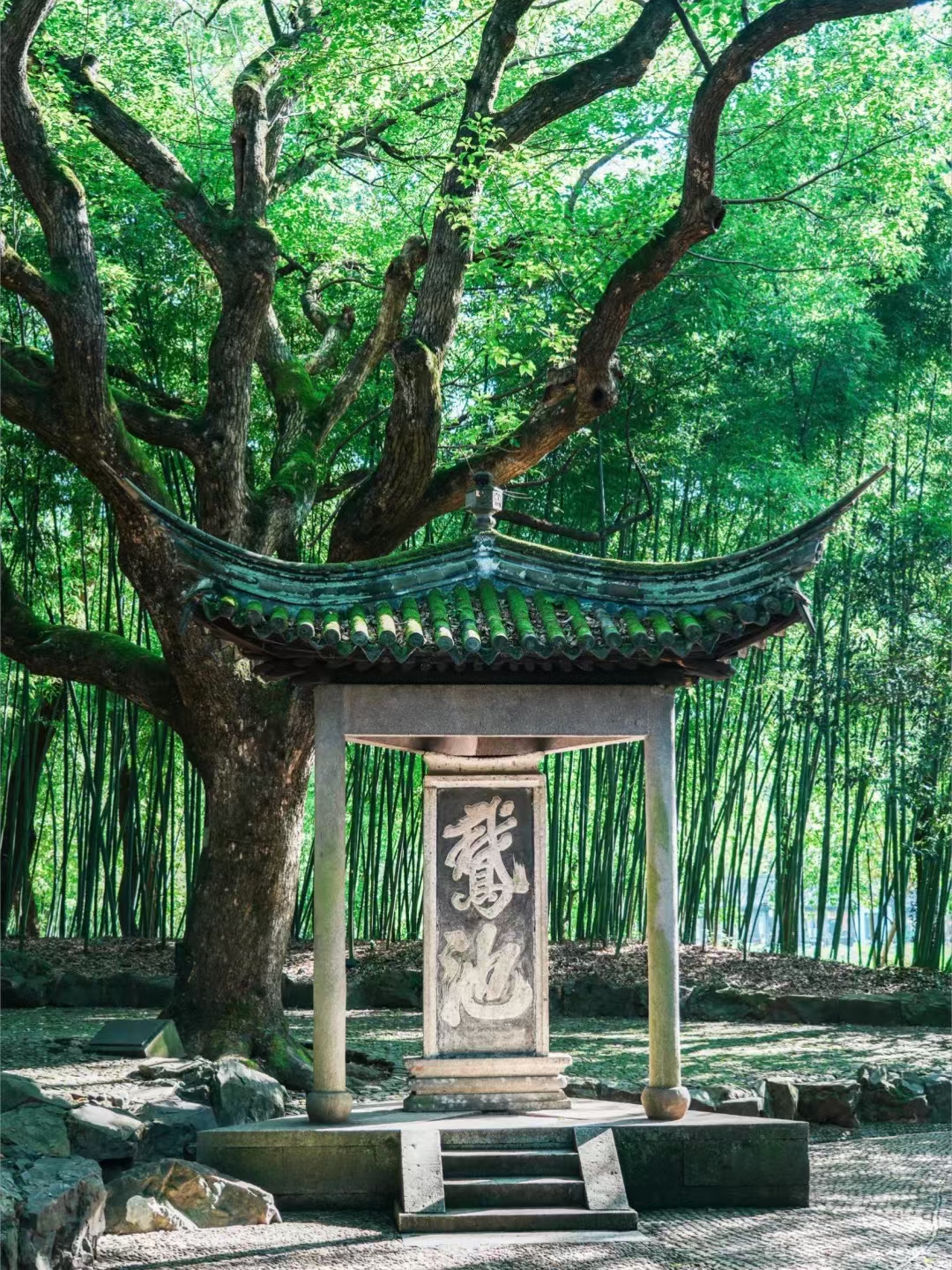 解锁创业新机遇：多功能折扣卡平台，你的财富增长新引擎！