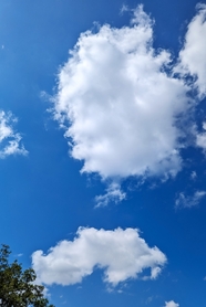 创业秘籍大公开！英邦科技带你轻松打造专属APP，解锁财富新密码