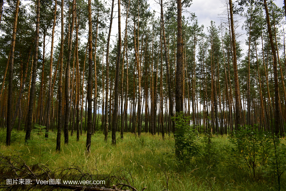加油优惠卡项目大揭秘：一元折扣卡地推实战攻略与代理合作指南