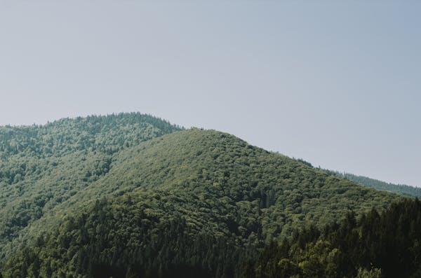 旅游卡地推实战指南：解锁创业新机遇，打造专属旅行生态