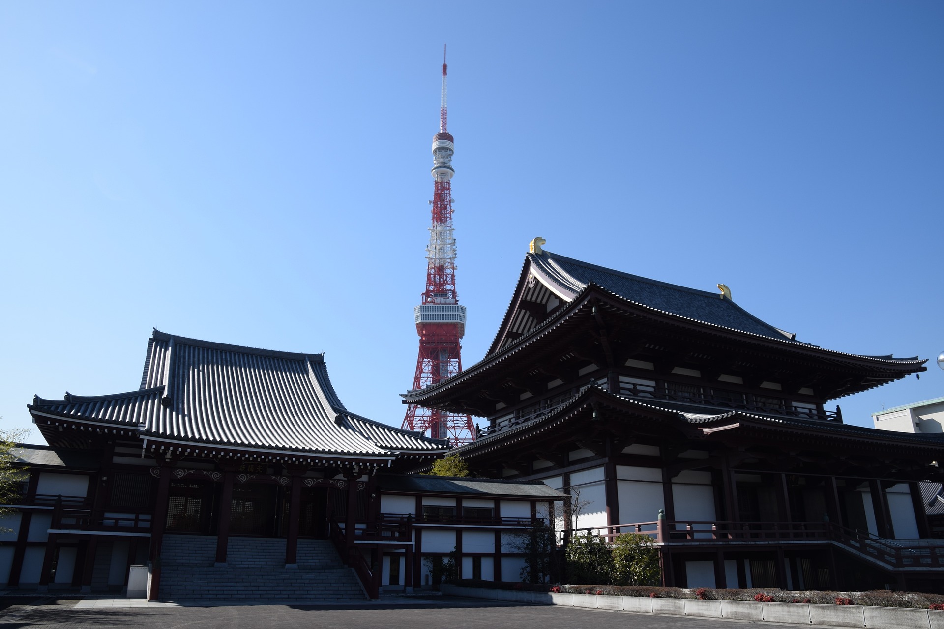 解锁创业新秘籍！0元搭建专属淘客返利APP，轻松成老板！