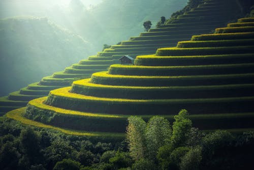 旅游创业秘籍！定制你的旅游卡系统，轻松成老板！