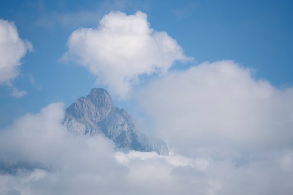 淘客新纪元：定制你的电商成功之路，高佣金APP与公众号系统开发全解析