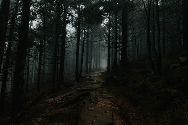 旅游卡加盟招商，开启创业新蓝海——携手广州旅游APP开发公司，定制您的旅行事业版图