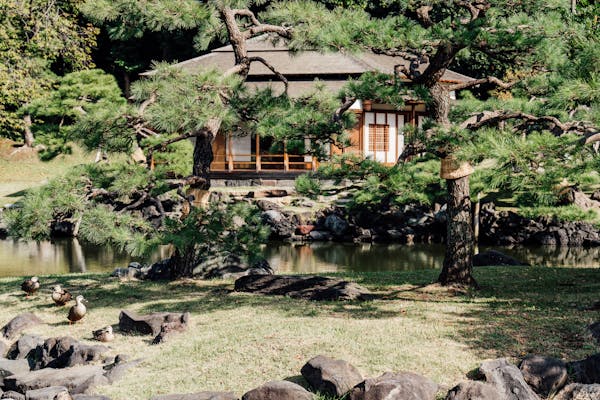 解锁旅游新商机：全国旅游一卡通代理与定制开发全解析