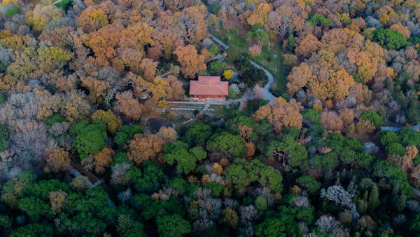 独立淘客系统搭建全攻略：为什么选择定制开发，以及如何找到最佳合作伙伴