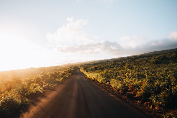 旅游卡项目代理：解锁创业新风口，加盟费用与盈利全解析