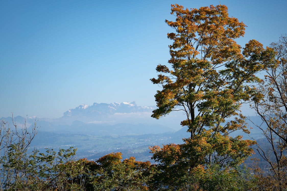 解锁乡村旅游新玩法：一站式解决方案，助你轻松成老板！