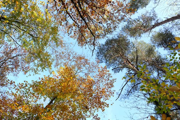 多功能折扣卡批发与定制开发：助力创业人群，打造专属优惠体系