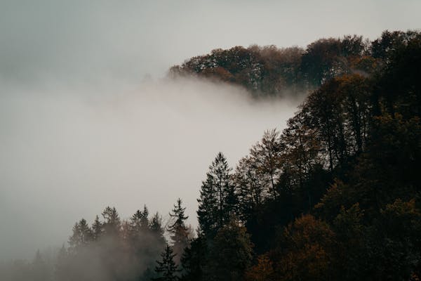 多功能折扣卡，创业新蓝海，你准备好了吗？