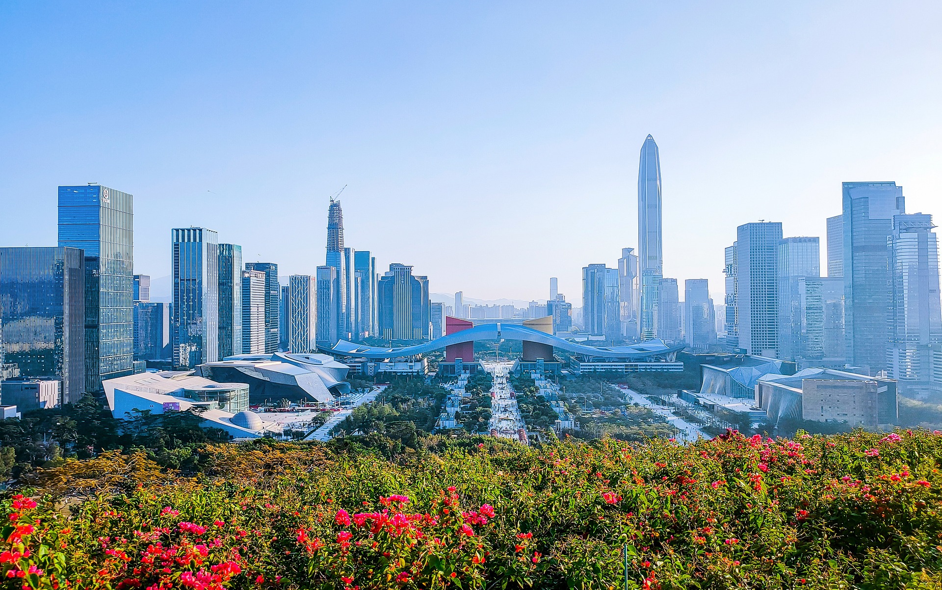 定制软件开发：为何它是创业成功的必备伙伴？