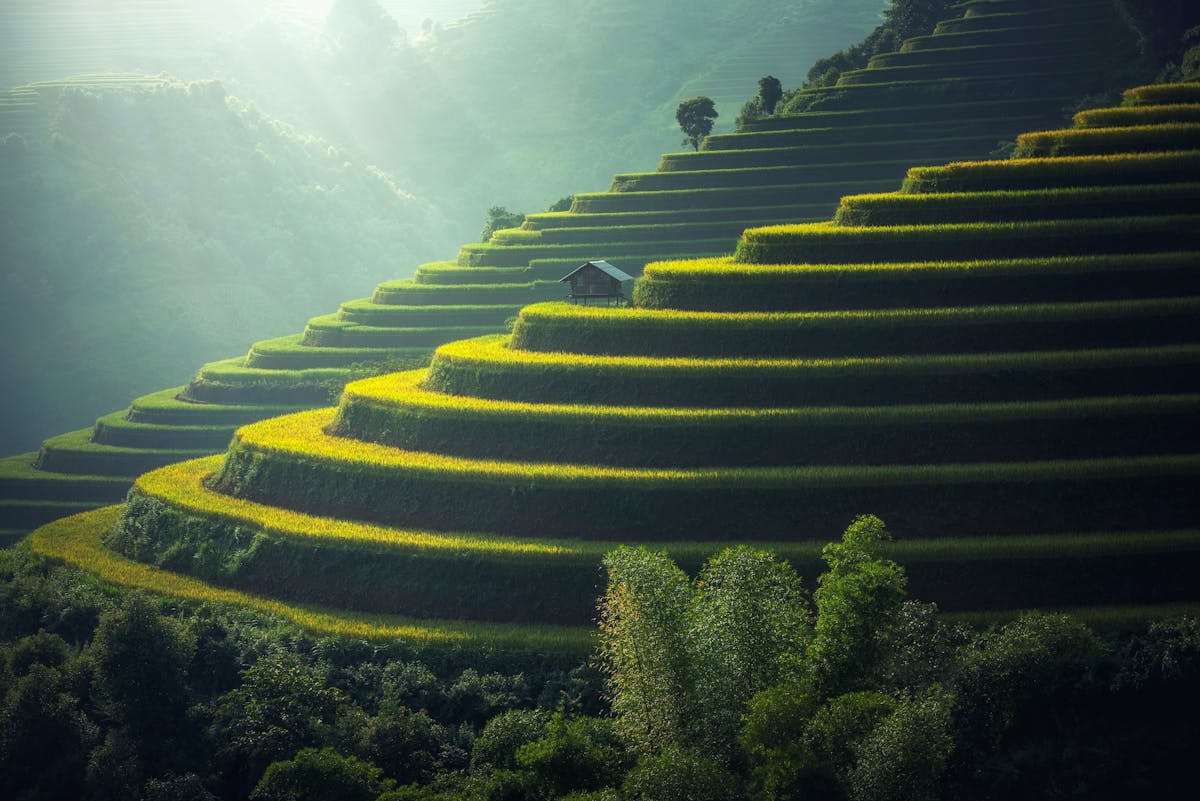 旅游卡系统管理新纪元：区块链技术引领透明高效之旅