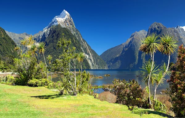 旅游创业秘籍！0元搭建专属旅行平台，佣金赚不停
