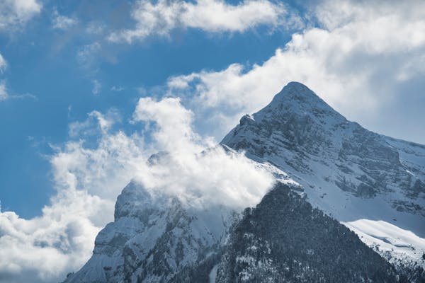 英邦科技：开启旅游卡项目代理的财富之旅