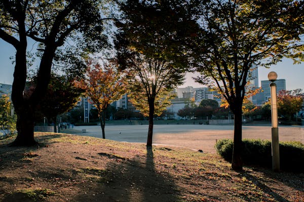解锁创业新机遇：一站式点餐接口解决方案，助你轻松搭建独立餐饮系统！