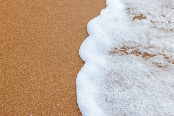 萌豆Pro：解锁旅游卡项目招商的全新方式