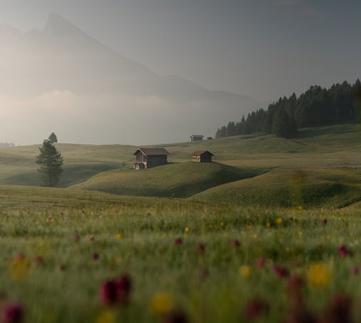 解锁影院新体验！创业必备的购票选座与影视分销秘籍